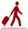 Foto de Servicio intermediario de turismo extranjero y