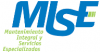 Foto de MISE (Mantenimiento Integrakl y Servicios Especializados)