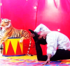Foto de Espect�culos Circenses
